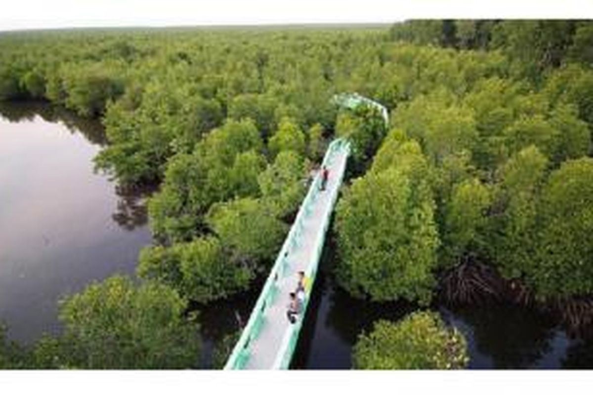 Suasana hutan mangrove di kawasan Kuala Langsa, Kota Langsa, Jumat (10/4). Langsa memiliki hutan mangrove sekitar 700 hektar. Pemerintah kota terus merawat dan menjaga kelestarian lingkungan hutan itu sebagai penyeimbang alam dan tempat rekreasi masyarakat setempat. Keberadaan hutan itu pun menjadi peneduh kota.