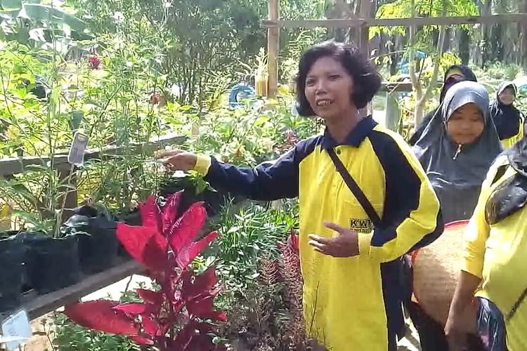 Salah satu jenis tanaman obat yang dikembagkan di Desa Karya Mulya