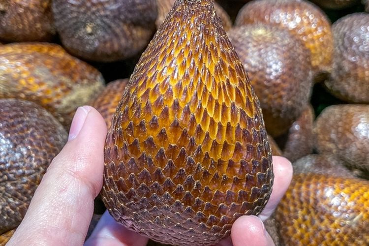 Ilustrasi buah salak
