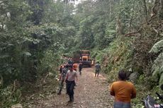 Pohon Tumbang di Ranupane Tutup Jalur Alternatif Lumajang-Malang