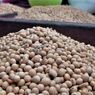 Produksi Kedelai Lokal Tak Sampai 10 Persen dari Kebutuhan Nasional