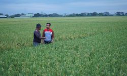 Desa Energi Berdikari Hadir di Indramayu untuk Wujudkan Ketahanan Pangan dan Energi