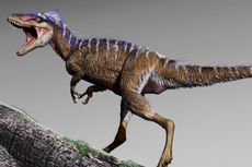 Nenek Moyang T-rex Ditemukan, Ternyata Cuma Sebesar Rusa
