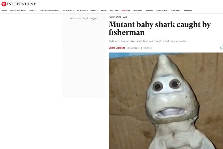 Tangkapan layar dai laman artikel The Independent, tentang berita penemuan bayi ikan hiu berwajah mirip manusia di NTT, Indonesia, pada Rabu (24/2/2021).