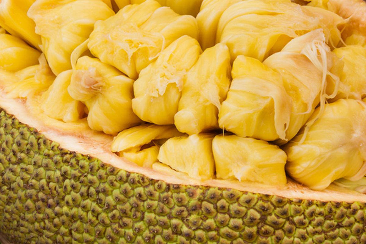 Ilustrasi nangka, buah nangka.