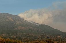 Warung di Hargo Dalem Terkena Kebakaran Gunung Lawu, Pendakian Sudah Tutup Sejak 9 September 2023