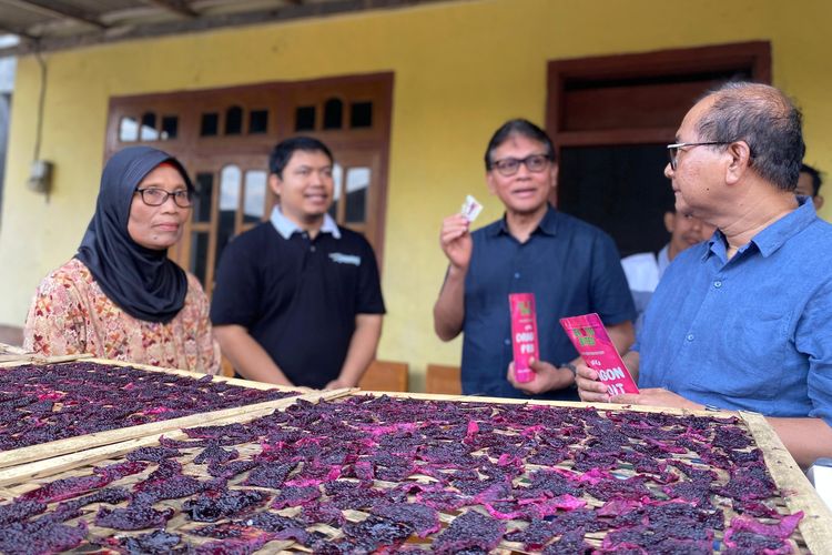 Petani Binaan Astra melalui Yayasan Dharma Bhakti Astra (YDBA), Sumartini (kiri) bersama Ketua Pengurus YDBA Rahmat Samulo (kedua kanan), Sekretaris Kementerian Koperasi dan UKM RI Arif Rahman Hakim (kanan) dan Koordinator Lembaga Pengembangan Bisnis (LPB) Astra di Banyuwangi Azzuhri Tri Ahara (kedua kiri) saat menunjukkan buah naga yang dikeringkan sebagai bahan baku pembuatan produk olahan buah naga, berupa sale buah naga di Banyuwangi.