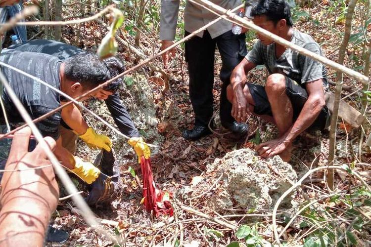 Warga desa Polindu, Kecamatan Mawasangka, Kabupaten Buton Tengah, Sulawesi Tenggara, dihebohkan dengan ditemukan kerangka manusia di dalam hutan desa, Rabu (25/10/2023). Tim Inafis Polres Buton Tengah melakukan olah TKP dilokasi kejadian perkara