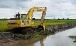 Dirjen PSP Sebut Kalteng Akan Jadi Penyangga Pangan Indonesia