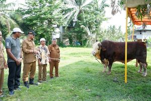 Presiden Prabowo Sumbang Sapi Limosin untuk Penyintas Banjir Aceh