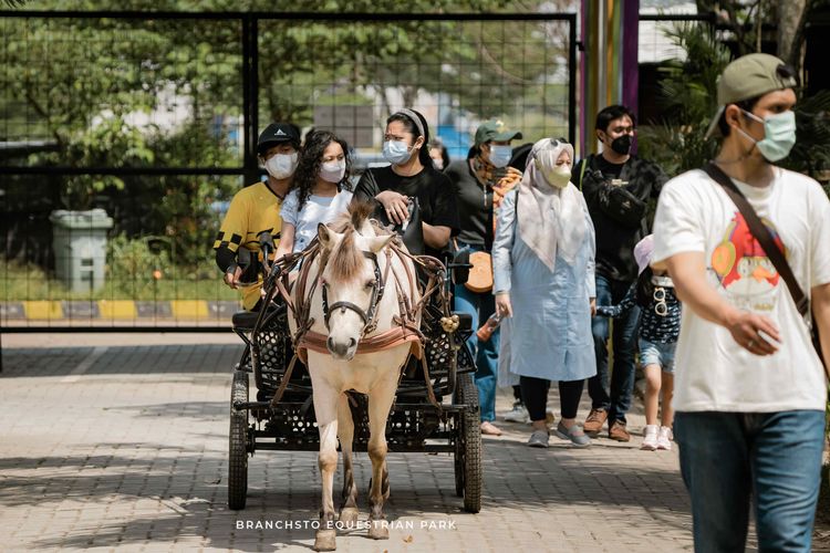 Selain berkuda, Branchsto Equestrian Park di BSD juga memiliki wahana lainnya, di antaranya ATV Ride dan Andong Ride. 