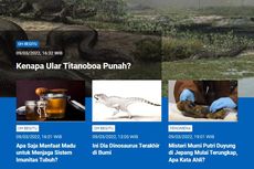 [POPULER SAINS] Kenapa Ular Titanoboa Punah? | Manfaat Madu Menjaga Imunitas Tubuh | Dinosaurus Terakhir di Bumi | Mumi Putri Duyung