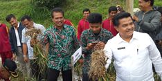 Solok Bersiap Jadi Sentra Bawang Putih di Indonesia