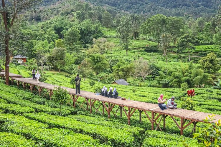 Aktivitas di kawasan Agrowisata Gunung Mas.