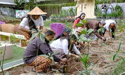 Komitmen Reduksi Karbon, Amartha Tanam Pohon dengan Metode Miyawaki