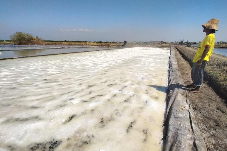 Petani garam asal Kota Pasuruan Jawa Timur mengalami mengalami penurunan produksi selama kurun waktu 2 tahun terakhir akibat anomali cuaca, Selasa (13/1/2026). KKP optimistis 2027 bisa swasembada garam. Namun, kualitas dan cuaca masih menjadi tantangan.