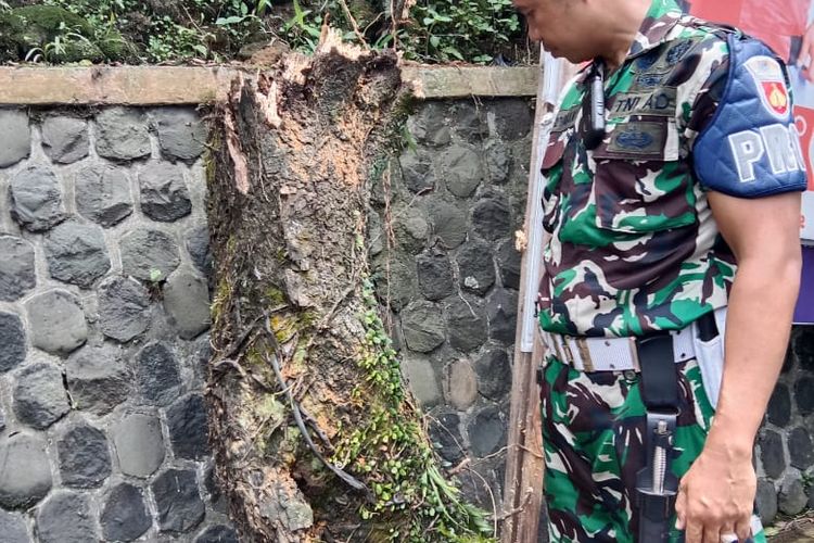 Satu petugas dari tim gabungan pembersihan alat peraga kampanye (APK) di Kabupaten Wonosobo, Jawa Tengah meninggal dunia setelah tertimpa kayu lapuk. 