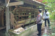 Niat Hati Pelihara Tujuh Kambing untuk Dijual Saat Idul Adha, Pria Ini Malah Kemalingan