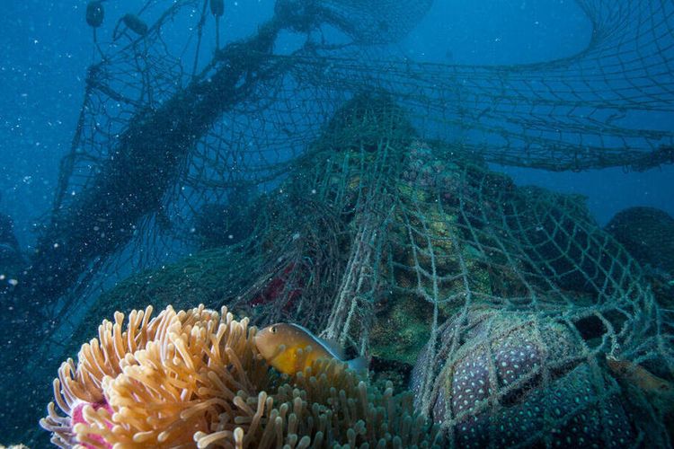 Ghost fishing net discarded by fishermen causing widespread damage to a coral reef in the Indian Ocean, Zanzibar