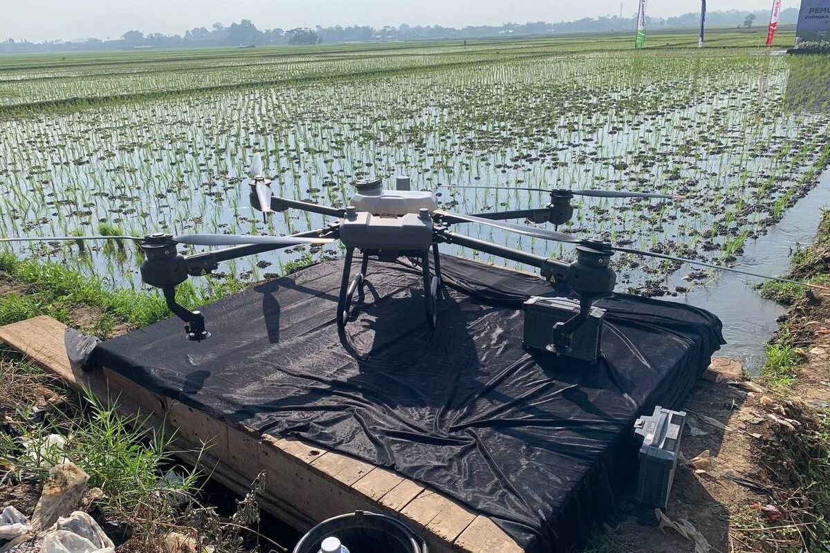 Penggunaan drone untuk menyemprotkan pupuk cair mulai dikenal kepada para petani di Desa Ciparay, Kabupaten Bandung, Jawa Barat okeh PT Petrokimia Gresik, Jumat (21/6/2024) nantinya drone tersebut akan mulai diprioritaskan di wilayah Jawa Barat, bahkan ditingkat Nasional