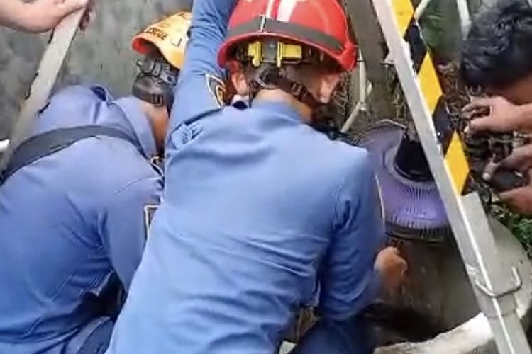 Wanita Tercebur ke Sumur Sedalam 12 Meter di Bogor, Dievakuasi Damkar dalam 45 Menit