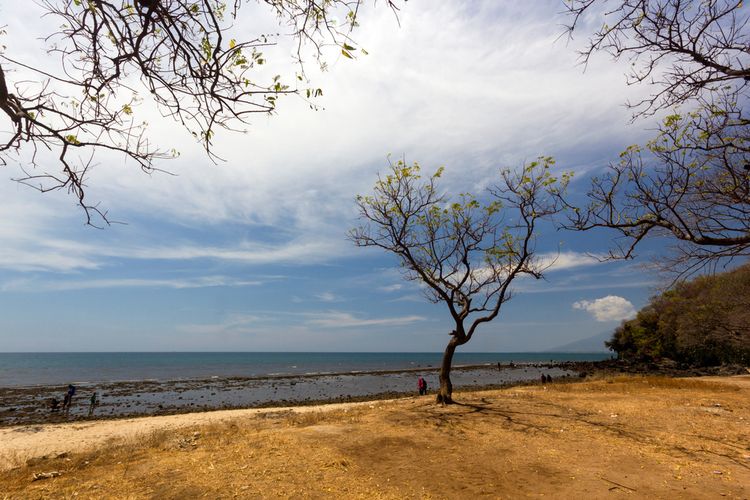 Pantai Tampora di Situbondo, Jawa Timur.