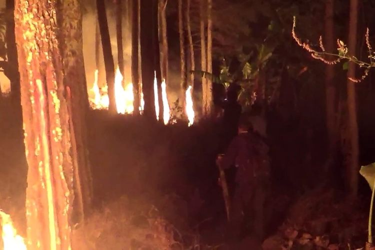 Petugas gabungan masih terus berupaya memadamkan api di kawasan Gunung Tampomas, Sumedang, Jawa Barat, Rabu (23/10/2019) malam. 