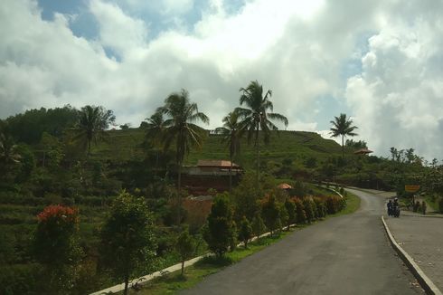 Serangan Lebah, Pendakian Gunung Api Purba Nglanggeran Ditutup Sementara