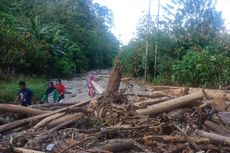 Banjir Bandang Terjang Sigi, Kayu Tebangan Hutan Lindung Terbawa Arus