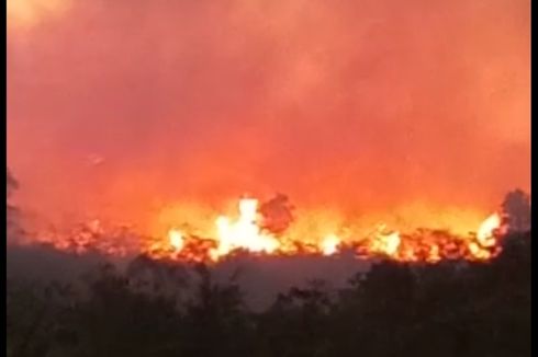 Gunung Ciremai Kembali Terbakar Kedua Kalinya di Bulan September