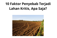 10 Faktor Penyebab Terjadi Lahan Kritis, Apa Saja?