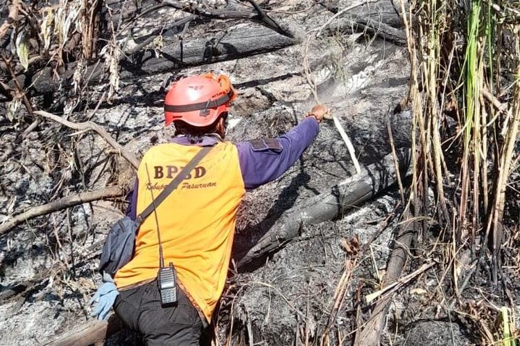 Kebakaran Gunung Bromo, BPBD Sekat Api yang Mengarah ke Tosari