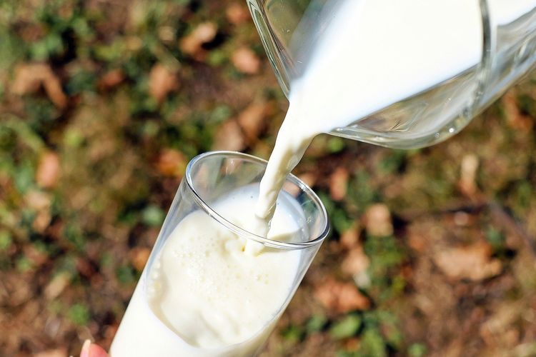Susu yang tidak dipasteurisasi dan produk susu seperti keju mungkin mengandung bakteri seperti listeria. Produk ini termasuk makanan yang harus dihindari saat hamil muda karena berpotensi menyebabkan keracunan makanan seperti listeriosis.