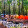 Harga Tiket Camping di Hutan Pinus Poncosumo Lumajang