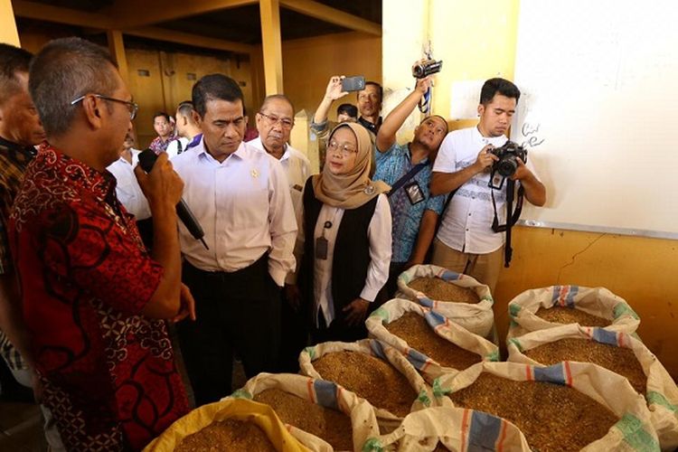 Mentan meninjau bibit unggul yang dihasilkan Loka Penelitian Sapi Potong di Grati Pasuruan, Jawa Timur.