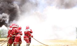 Langkah Sinar Mas Mengantisipasi Karhutla