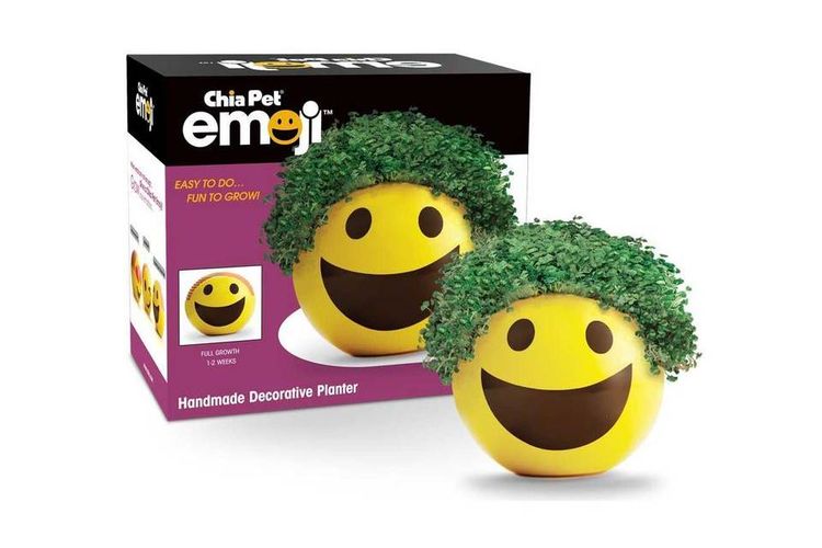 Ilustrasi Mainan Chia Pet