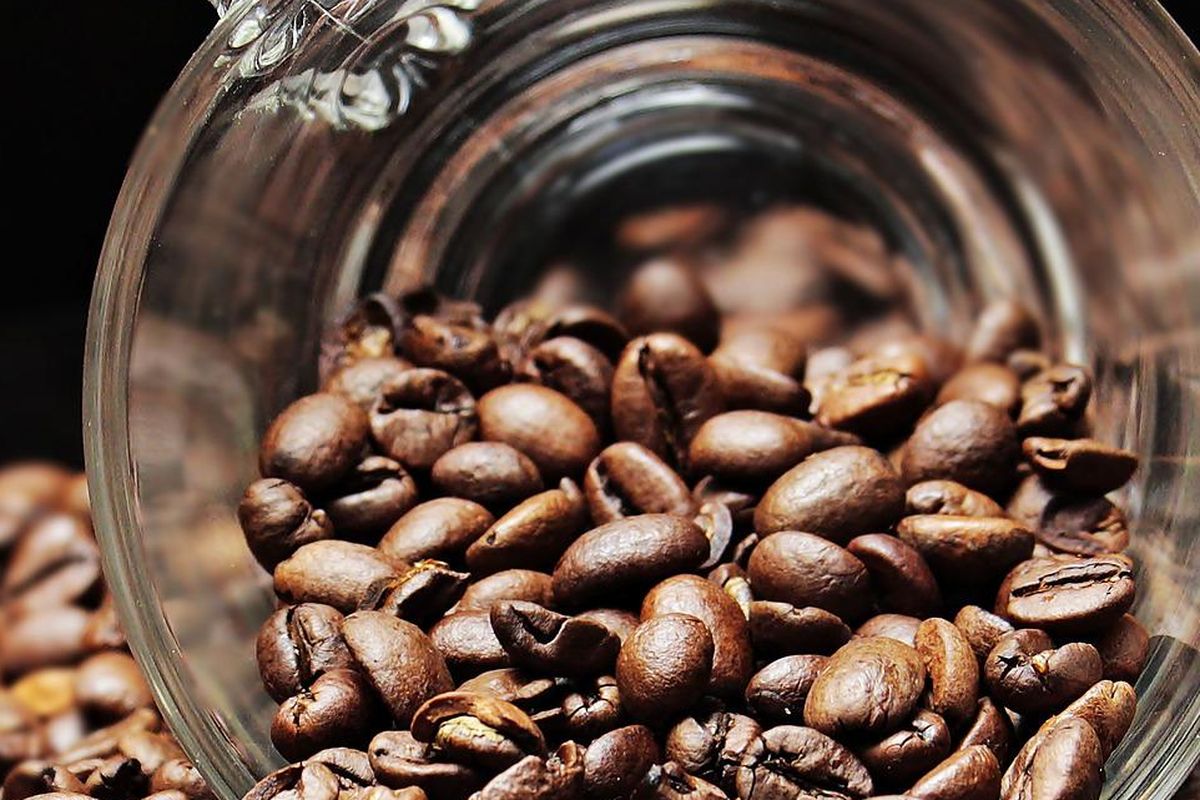 Ilustrasi biji kopi. 