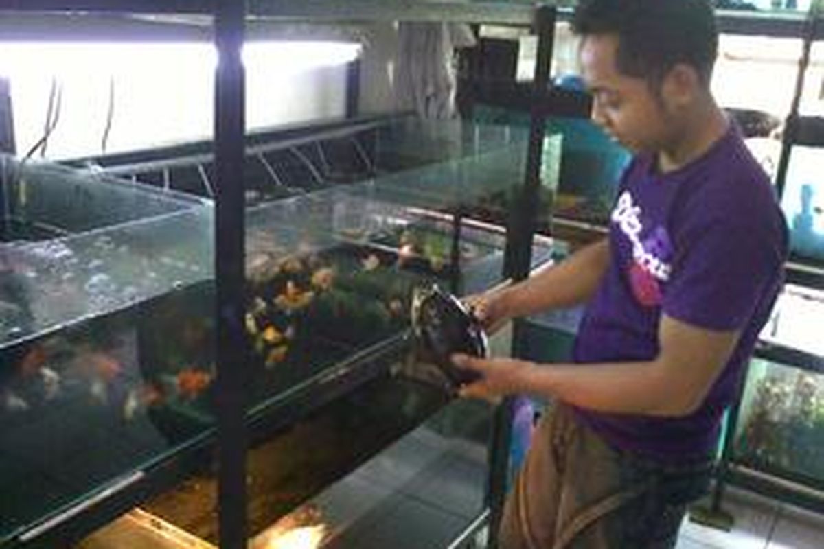 kioas penjualan ikan di Ciganjur, Jakarta Selatan