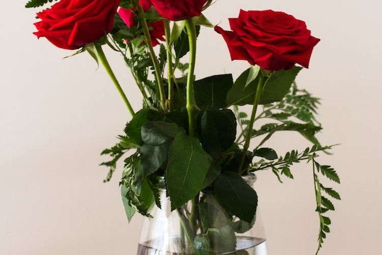 Ilustrasi pasca panen bunga mawar