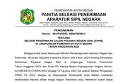 Seleksi CPNS 2024 Pemko Medan, Ini Formasi yang Dibutuhkan