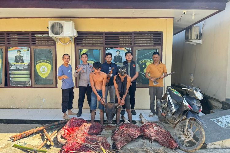 Dua Pencuri Sapi di Musi Rawas Ditangkap saat Sedang Mencincang Hasil Curian