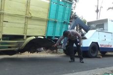 Roda Belakang Lepas, Truk Muatan Kayu Terguling di Jombang, 1 Tewas