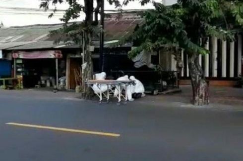 WNA yang Meninggal di Pinggir Jalan Bali Ternyata Positif Virus Corona