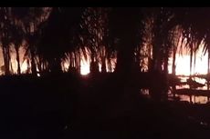 Sumur Minyak Ilegal di Aceh Timur Kembali Meledak, Api Setinggi 10 Meter