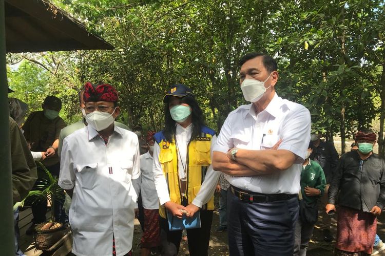 Gubernur Bali Wayan Koster saat mendampingi Luhut Binsar Pandjaitan di Hutan Mangrove di Taman Hutan Raya (Tahura) Ngurah Rai, Kamis (25/11/2021).