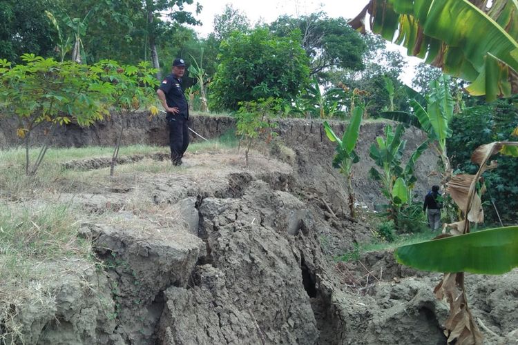 Tanggul longsor di aliran Bengawan Solo yang ada di Dusun Glogok, Desa Sumberwudi, Kecamatan Karanggeneng, Lamongan, Jawa Timur, yang bakal diperbaiki.