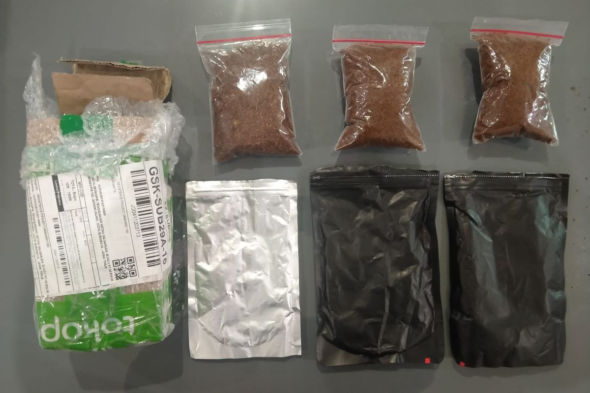 Barang bukti berupa tembakau sintetis atau tembakau gorilla yang disita Satuan Reserse Narkoba Polrestabes Surabaya.
