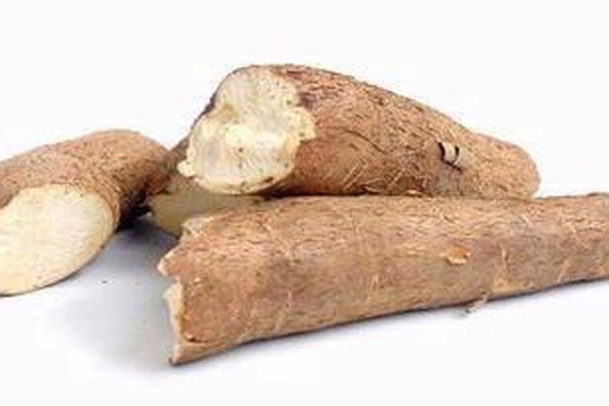 Singkong dapat diolah dengan keju untuk cake atau combro.