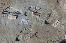 Jejak Kaki Berusia 23.000 Tahun Ditemukan di Amerika, Ini yang Terjadi